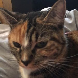 Meet your Posher, Chelsea